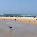 Vista Mar Piscina Alojamento de Acomodação e Pequeno-almoço 4*