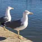 Alojamento de Acomodação e Pequeno-almoço Vista Mar Piscina